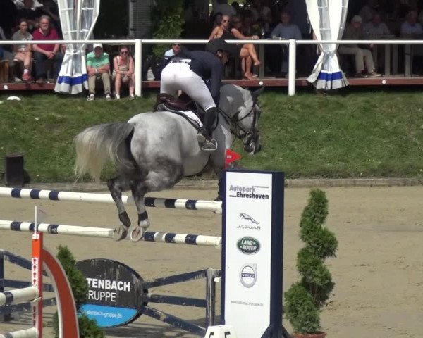 Bergisch Classics - Bergisch Gladbach - Springen 2021