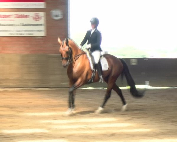 Reitturnier Kirchhoven-Vinn 2021