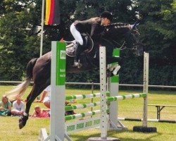 jumper Exxtravagant (Hanoverian, 2009, from Escudo I)