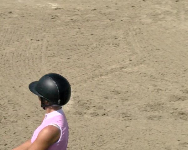 Pferdesporttage Rafzerfeld - Hüntwangen 2021