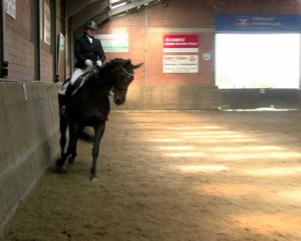 Reitturnier Kirchhoven-Vinn 2021