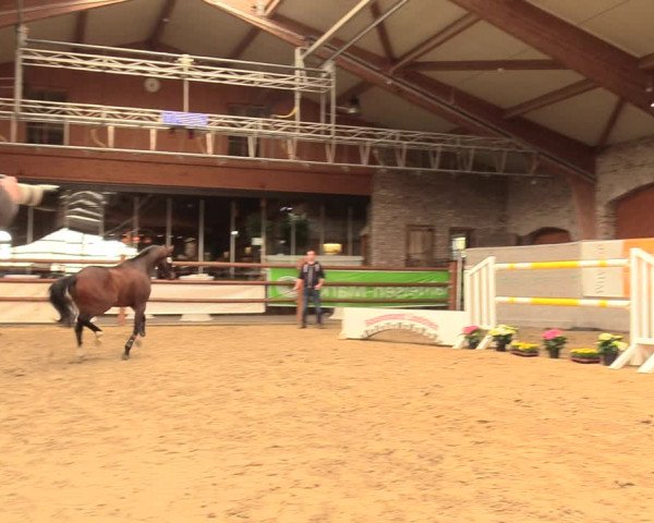5. NRW Freispringchampionat - Finale 2018