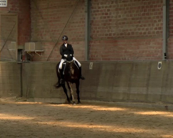 Reitturnier Kirchhoven-Vinn 2021