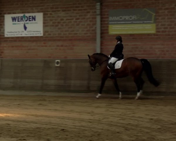 Reitturnier Kirchhoven-Vinn 2021