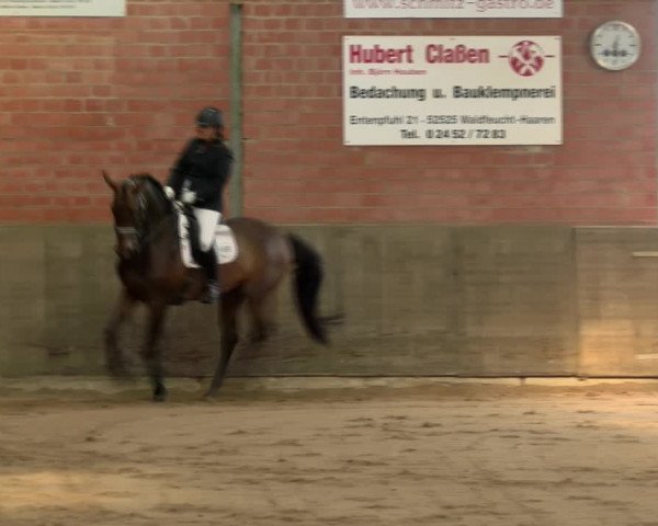 Reitturnier Kirchhoven-Vinn 2021