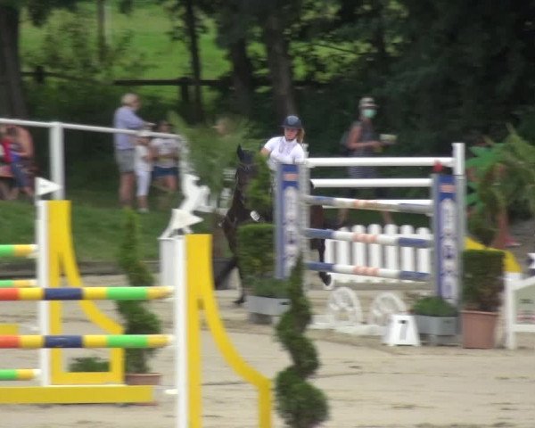 Bergisch Classics - Bergisch Gladbach - Springen 2021