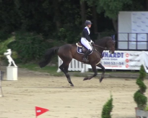 Bergisch Classics - Bergisch Gladbach - Springen 2021
