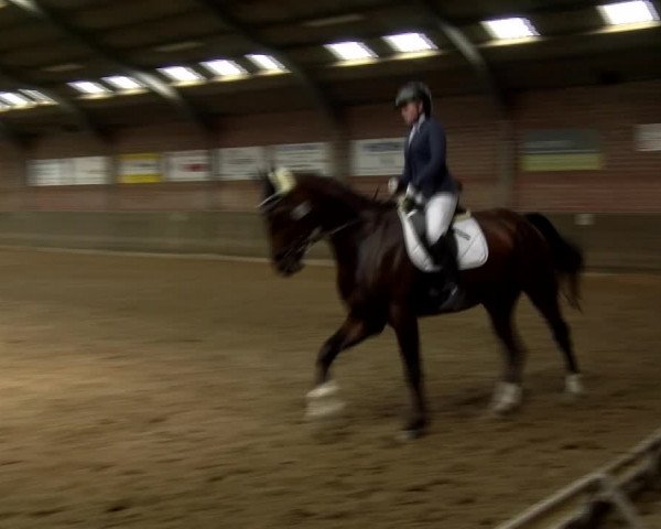 Reitturnier Kirchhoven-Vinn 2021