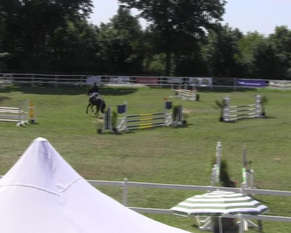 Reitturnier Müncheberg 2021