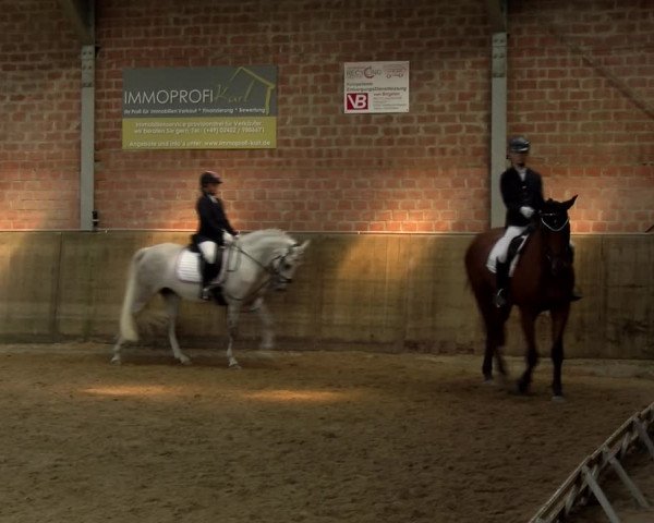 Reitturnier Kirchhoven-Vinn 2021