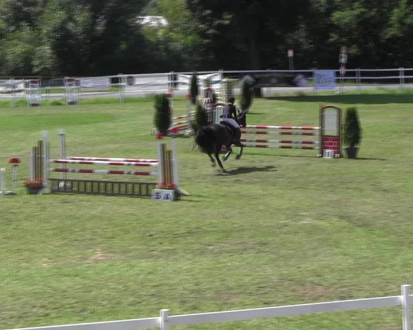 Reitturnier Müncheberg 2021