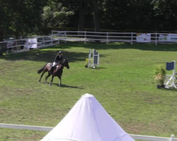 Reitturnier Müncheberg 2021