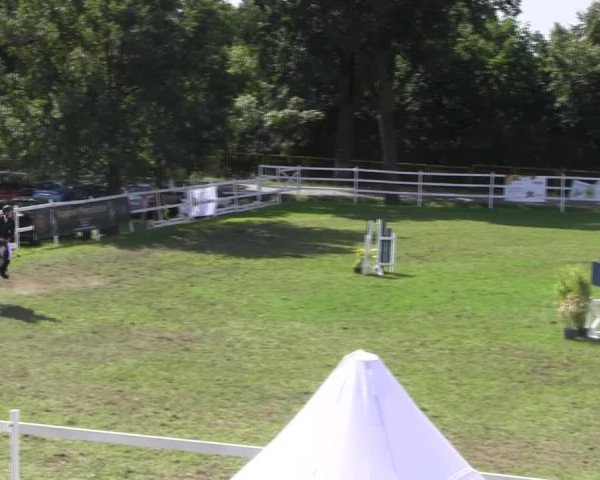 Reitturnier Müncheberg 2021