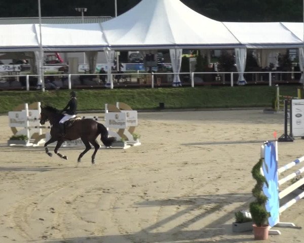 Bergisch Classics - Bergisch Gladbach - Springen 2021