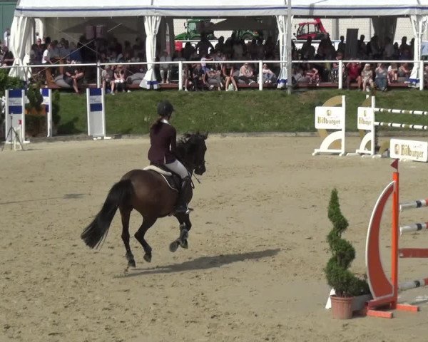 Bergisch Classics - Bergisch Gladbach - Springen 2021