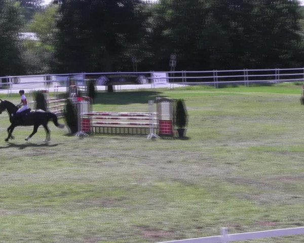Reitturnier Müncheberg 2021