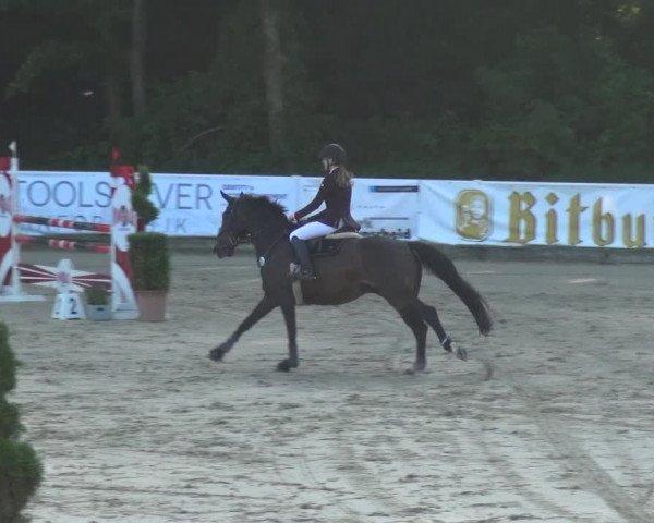 Bergisch Classics - Bergisch Gladbach - Springen 2021