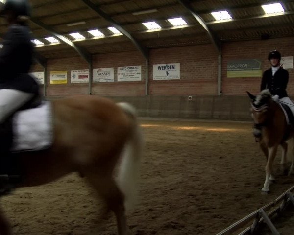 Reitturnier Kirchhoven-Vinn 2021