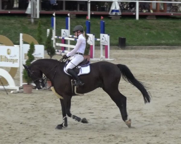 Bergisch Classics - Bergisch Gladbach - Springen 2021