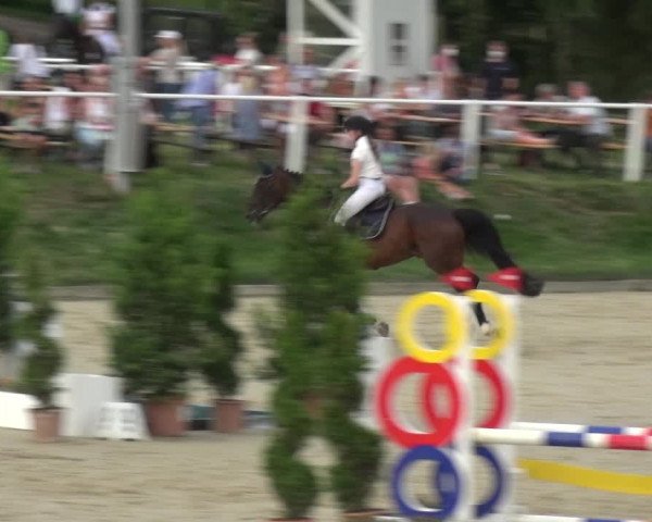 Bergisch Classics - Bergisch Gladbach - Springen 2021