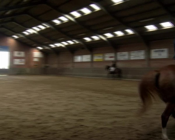 Reitturnier Kirchhoven-Vinn 2021