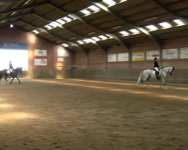 Reitturnier Kirchhoven-Vinn 2021