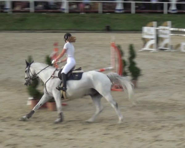Bergisch Classics - Bergisch Gladbach - Springen 2021
