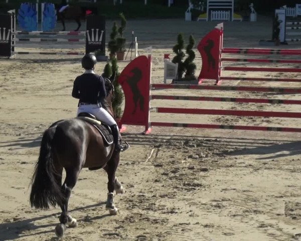 Bergisch Classics - Bergisch Gladbach - Springen 2021