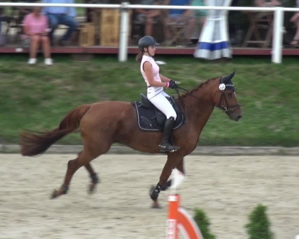 Bergisch Classics - Bergisch Gladbach - Springen 2021