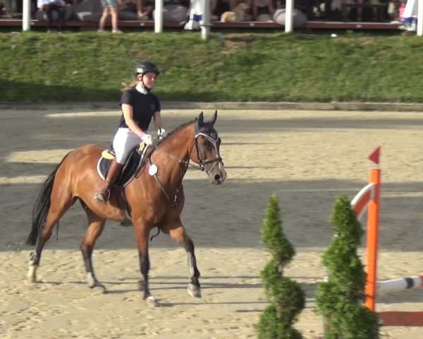 Bergisch Classics - Bergisch Gladbach - Springen 2021