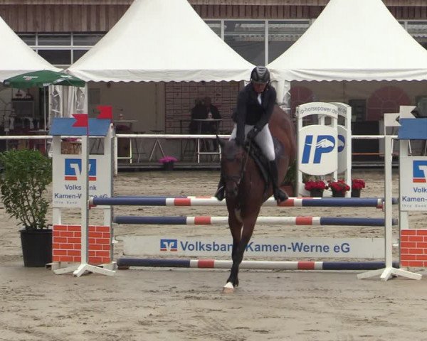 Reitturnier Werne 2021