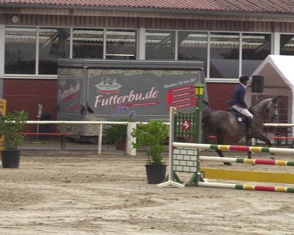 Reitturnier Werne 2021