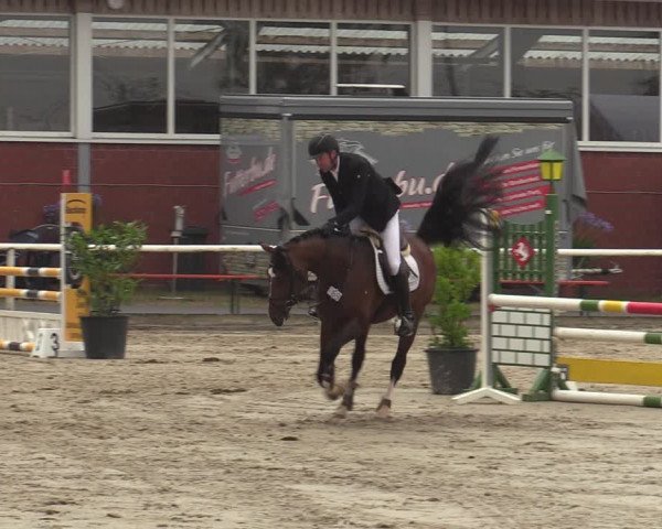 Reitturnier Werne 2021