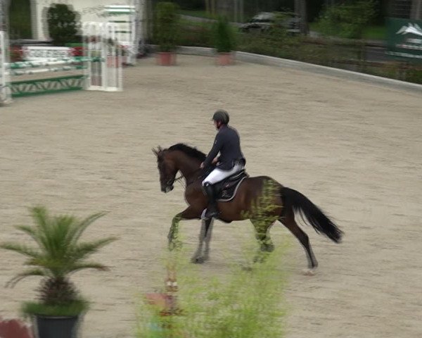 Reitturnier Monheim - Gut Blee 2021