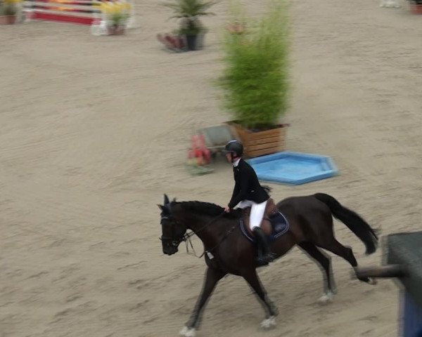 Reitturnier Monheim - Gut Blee 2021