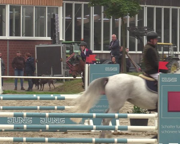 Reitturnier Werne 2021