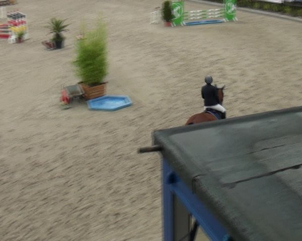 Reitturnier Monheim - Gut Blee 2021