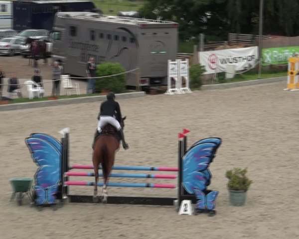 Reitturnier Monheim - Gut Blee 2021