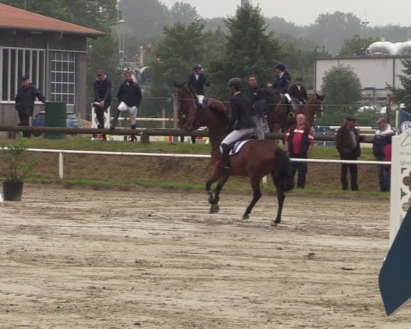 Reitturnier Werne 2021