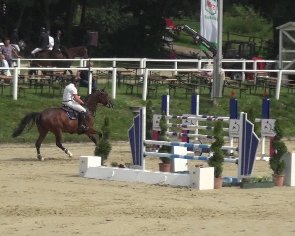 Bergisch Classics - Bergisch Gladbach - Springen 2021