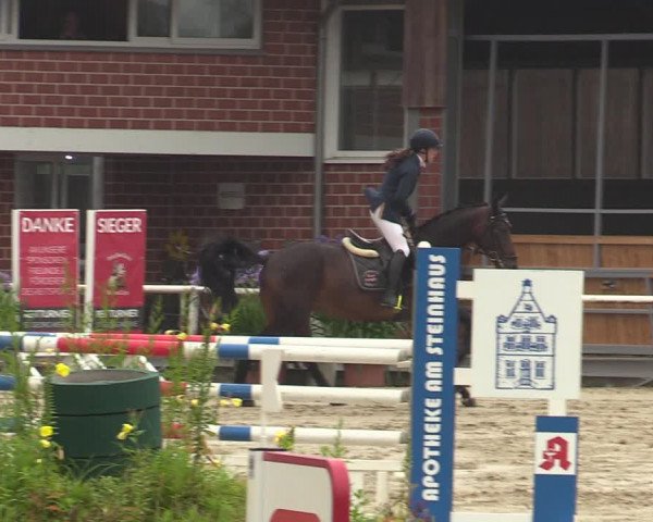 Reitturnier Werne 2021