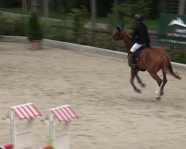 Reitturnier Monheim - Gut Blee 2021