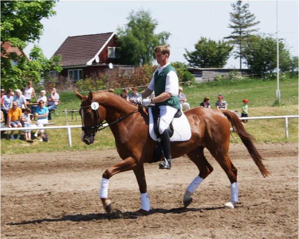 dressage horse Dancing Man 2 (Mecklenburg, 2008, from Dramatiker)