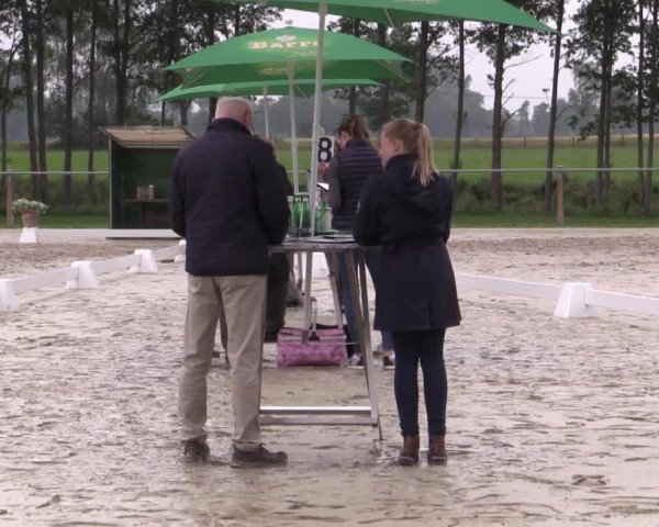 Stuten- und Fohlenschau Espelkamp 2018