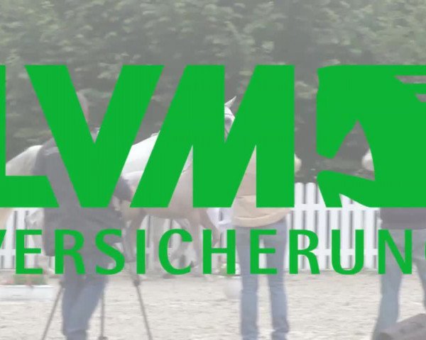Stuten- und Fohlenschau Bedburg 2018