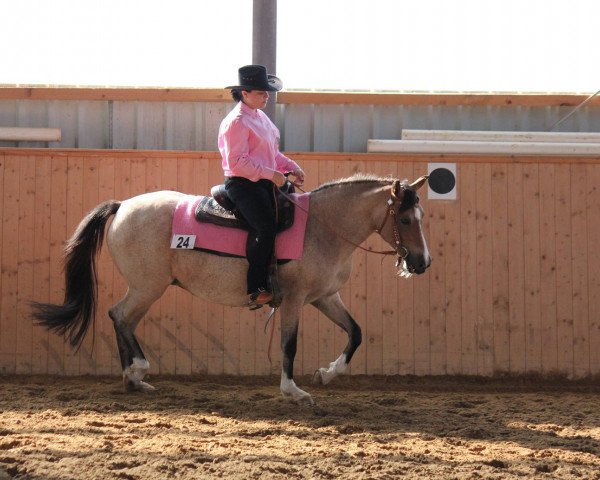 broodmare Berkatal Flo-Joey (German Riding Pony, 2001, from Royal Blueberry)