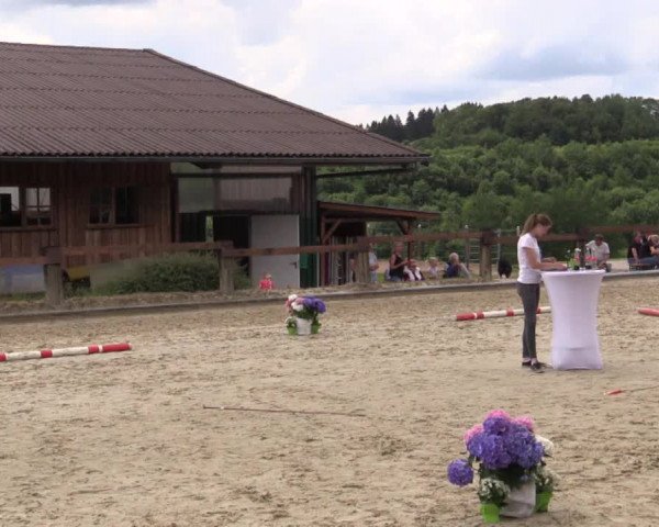 Stuten- und Fohlenschau in Drolshagen 2018
