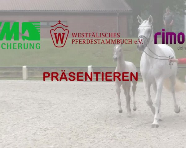 Stuten- und Fohlenschau Krüsterhof 2018