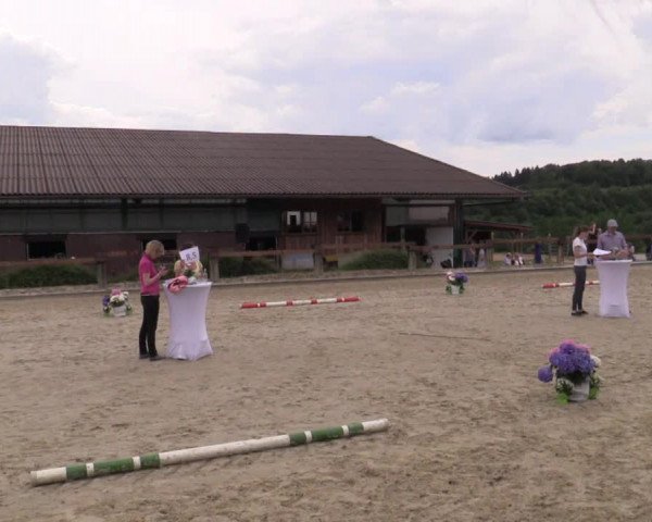 Stuten- und Fohlenschau in Drolshagen 2018