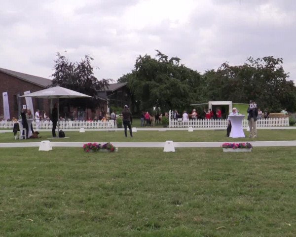Stuten- und Fohlenschau Krüsterhof 2018